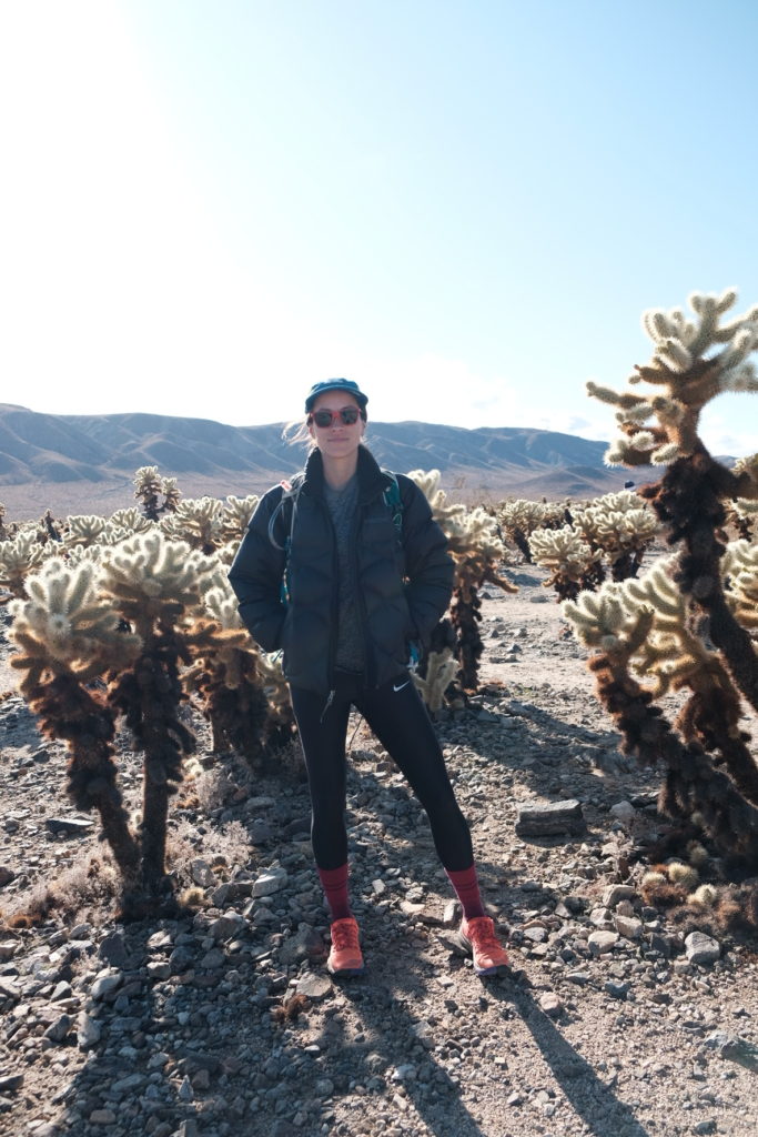 Contact Joshua Tree