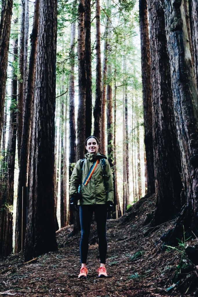 Muir Woods California