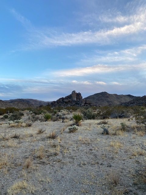 Joshua Tree National Park