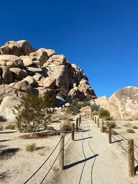 Joshua Tree National Park