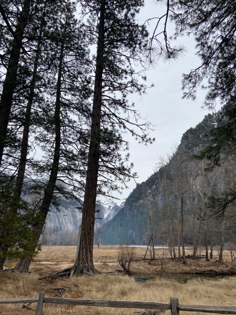 Yosemite National Park