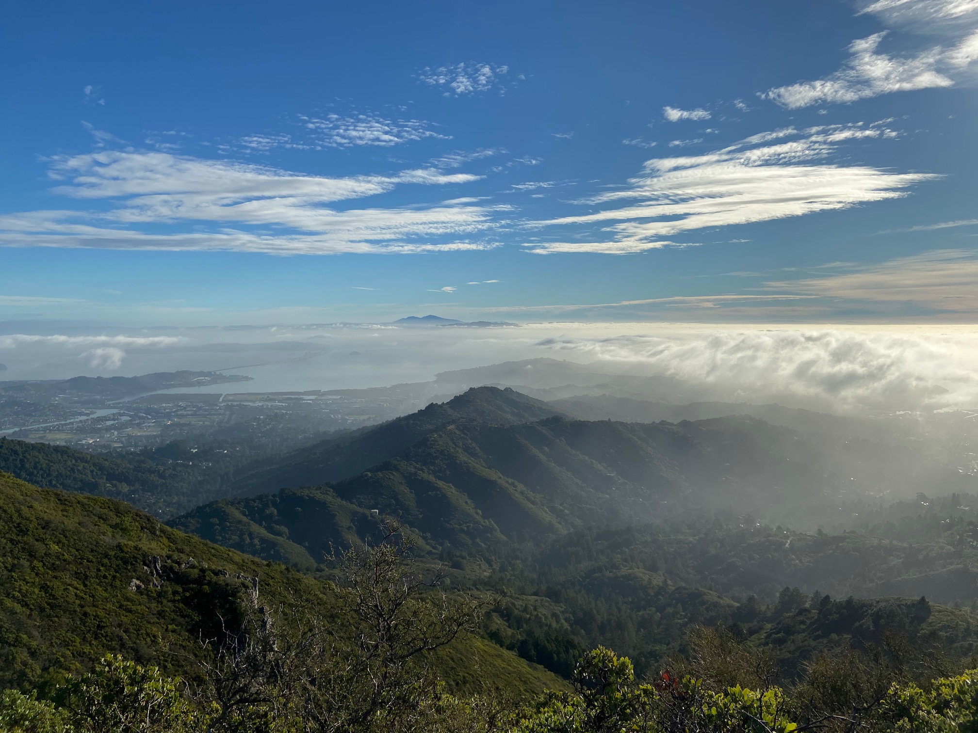 Mt Tamalpais Running