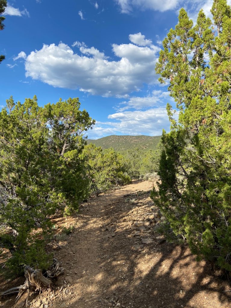 Taos Hiking