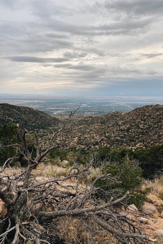 Sandia Mountain Views