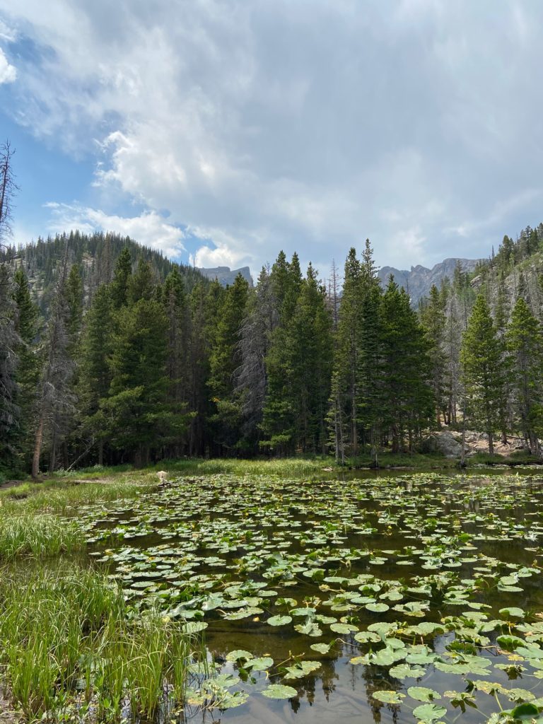 Rocky Mountain National Park