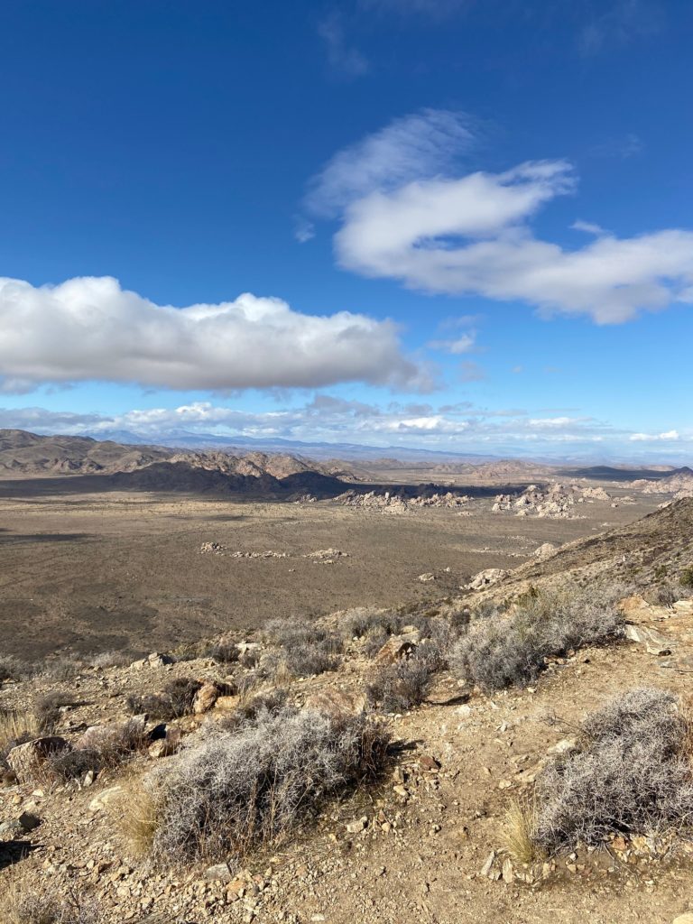 Ryan Mountain Trail