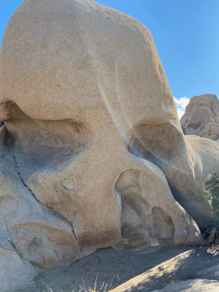 Joshua Tree National Park