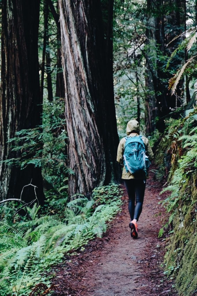 Muir Woods